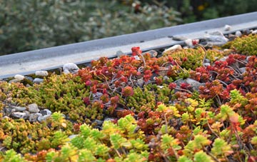 the cost of Roston green roof installation