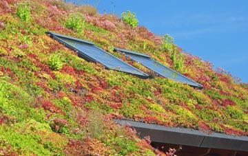 Roston living roof systems